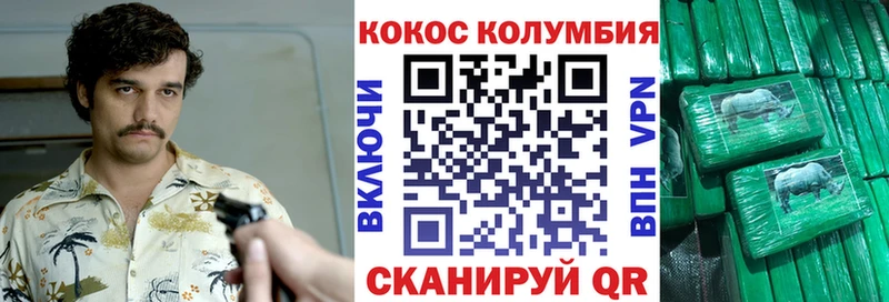 Купить закладки  Нижний Тагил  Cocaine Fish Scale 