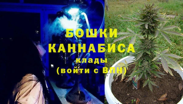 СК Няндома