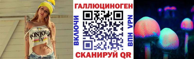 Купить где  Нижний Тагил  Псилоцибиновые грибы GOLDEN TEACHER 